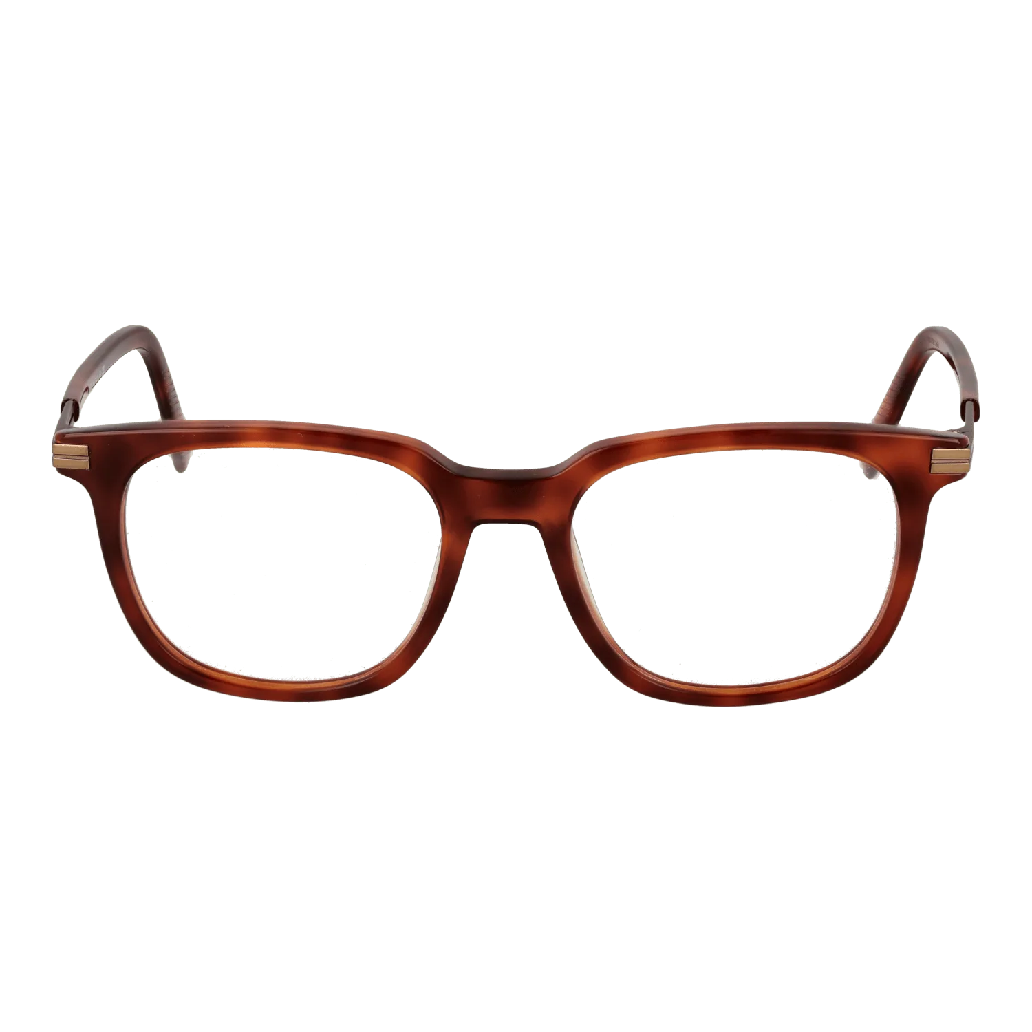 Unisex Brown Ermenegildo Zegna Optical Frame EZ5273 052 52