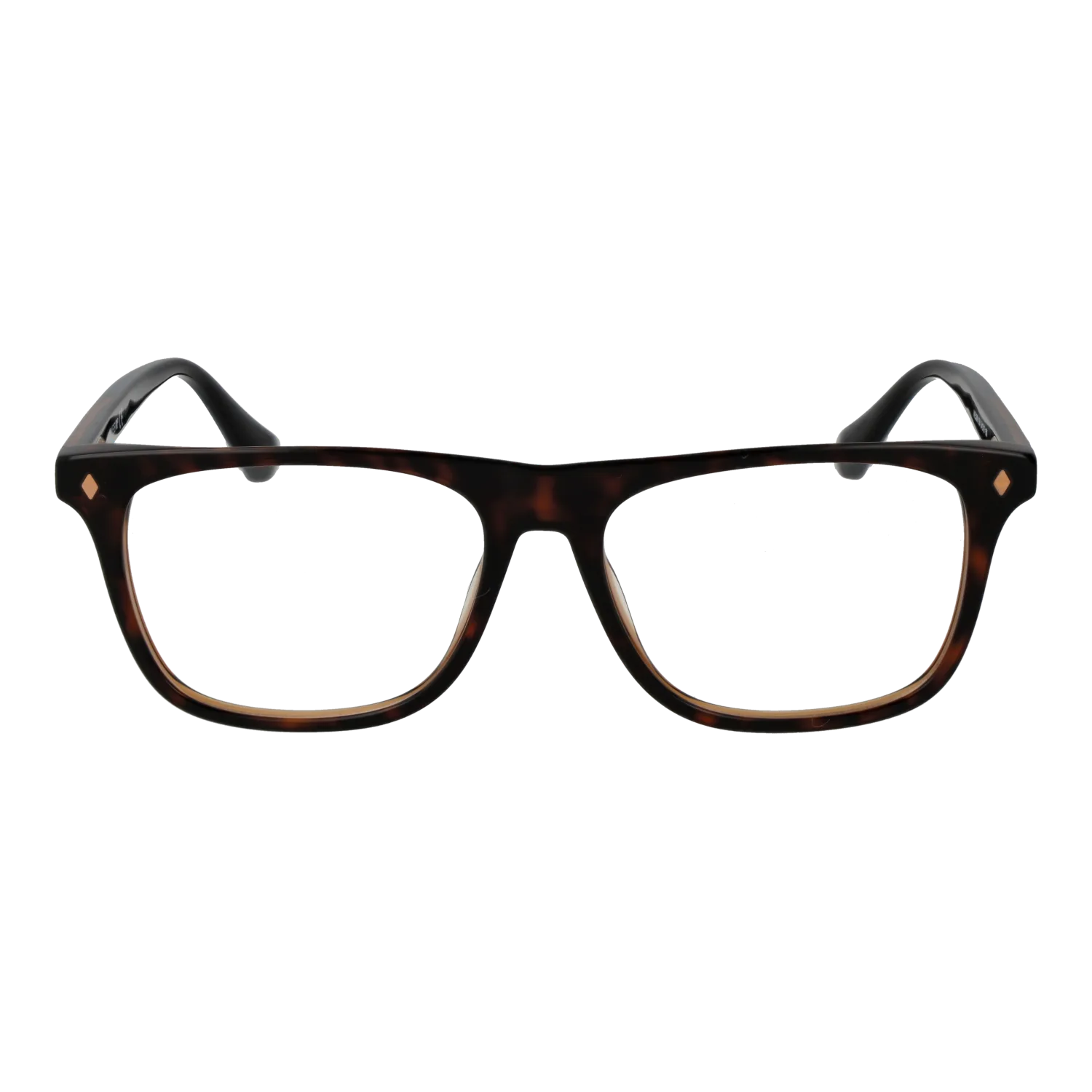 Unisex Brown Web Optical Frame WE5399 056 54