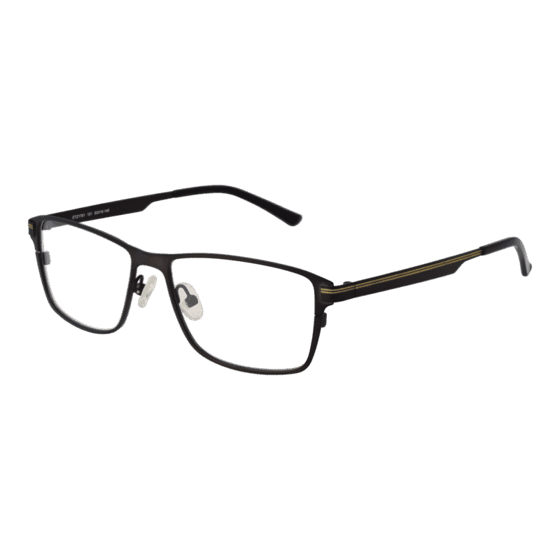 Citizen CTZ1701 53151 optical frames side view