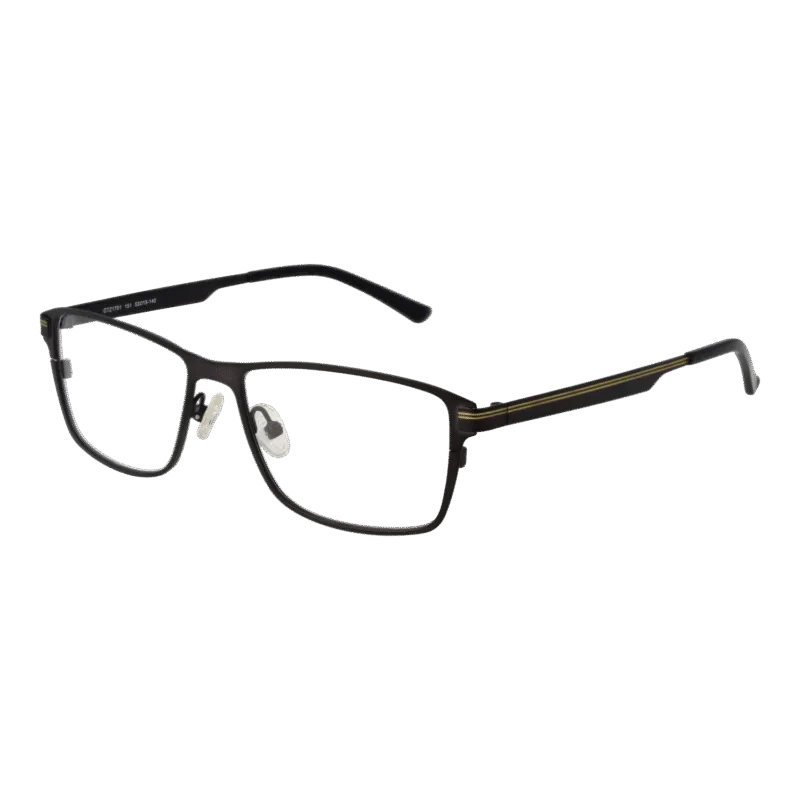 Citizen CTZ1701 53151 optical frames side view