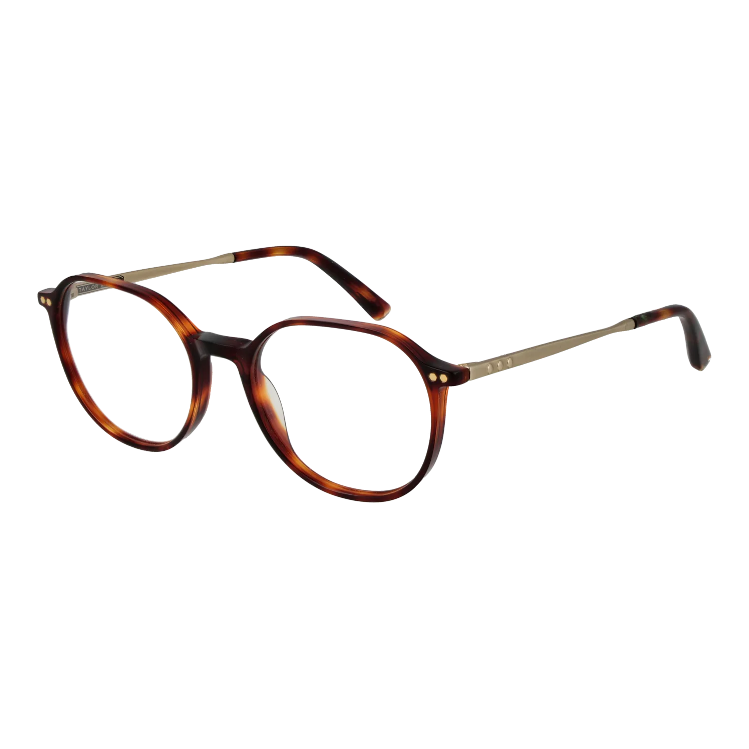 Taylor Morris SW2 51C2 optical frames side view