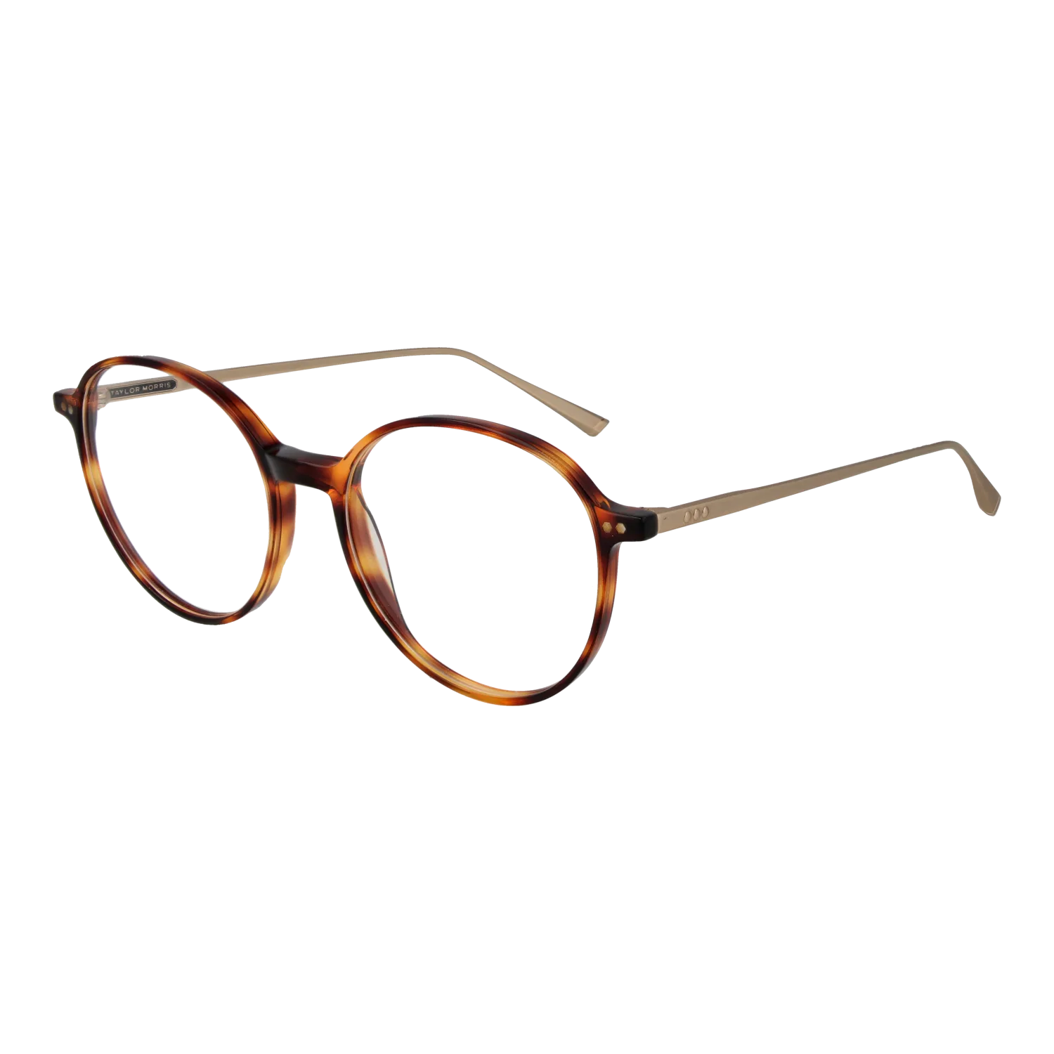 Taylor Morris SW15 C2 optical frames side view