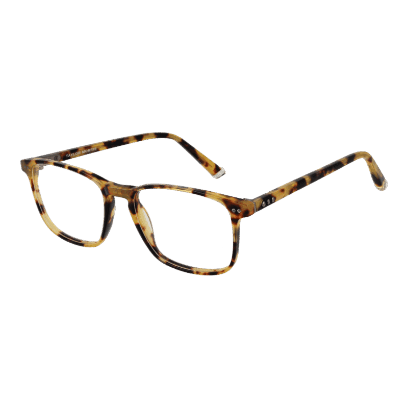 Taylor Morris SW16 52C3 optical frames side view