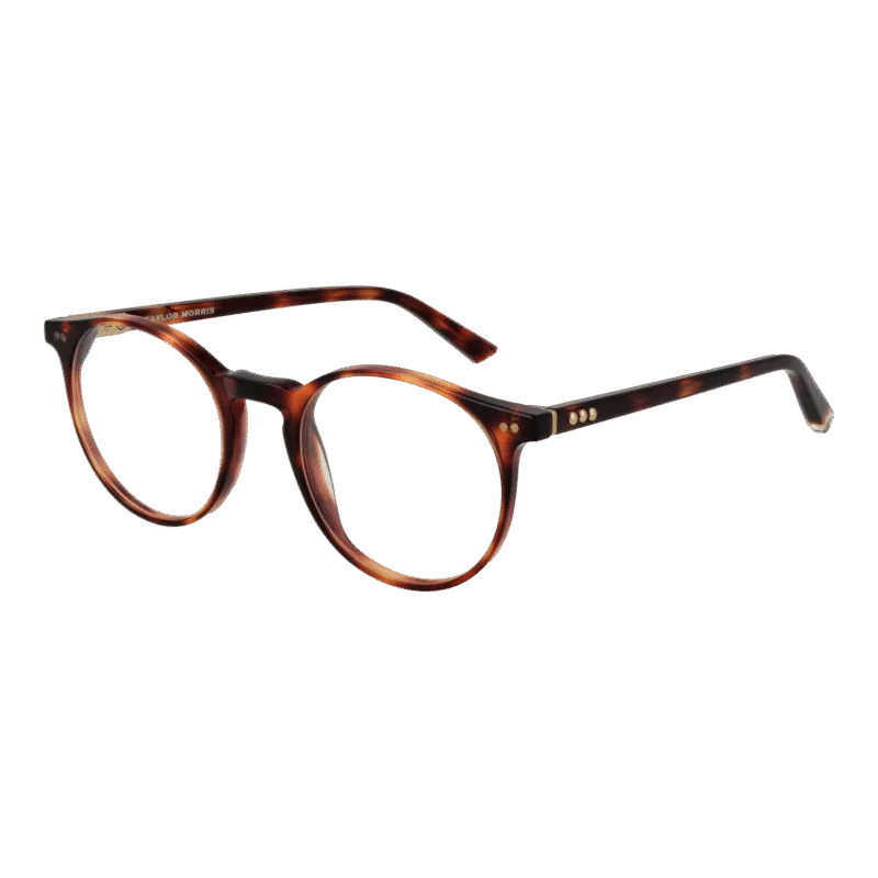 Taylor Morris SW17 48C2 optical frames side view