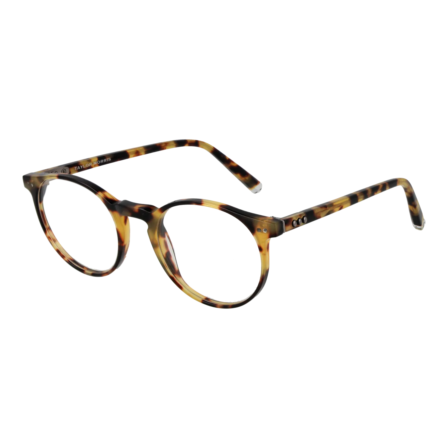 Taylor Morris SW17 48C3 optical frames side view