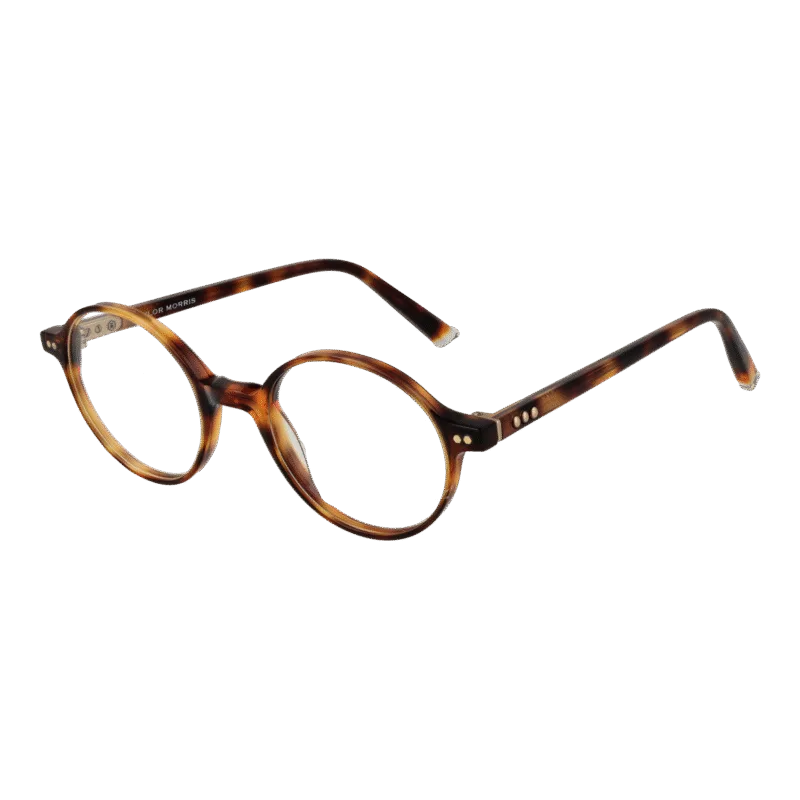 Taylor Morris SW18 48C2 optical frames side view