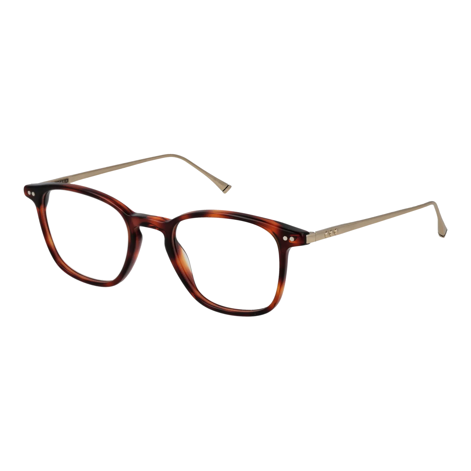 Taylor Morris W9 48C2 optical frames side view