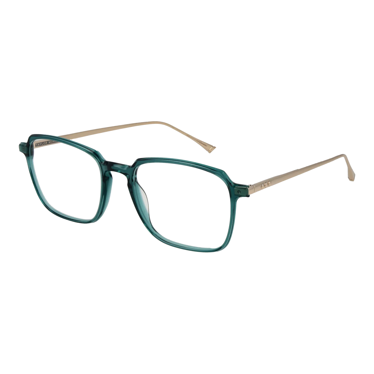 Taylor Morris SW3 53C6 optical frames side view