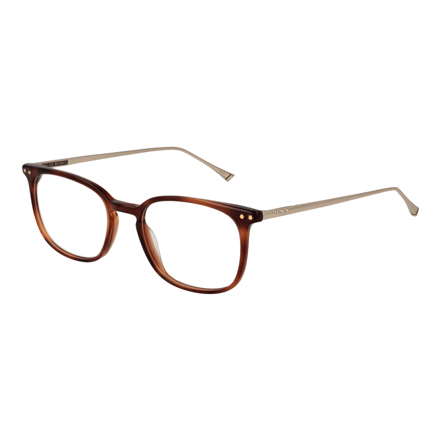 Taylor Morris TM06 49C2 optical frames side view