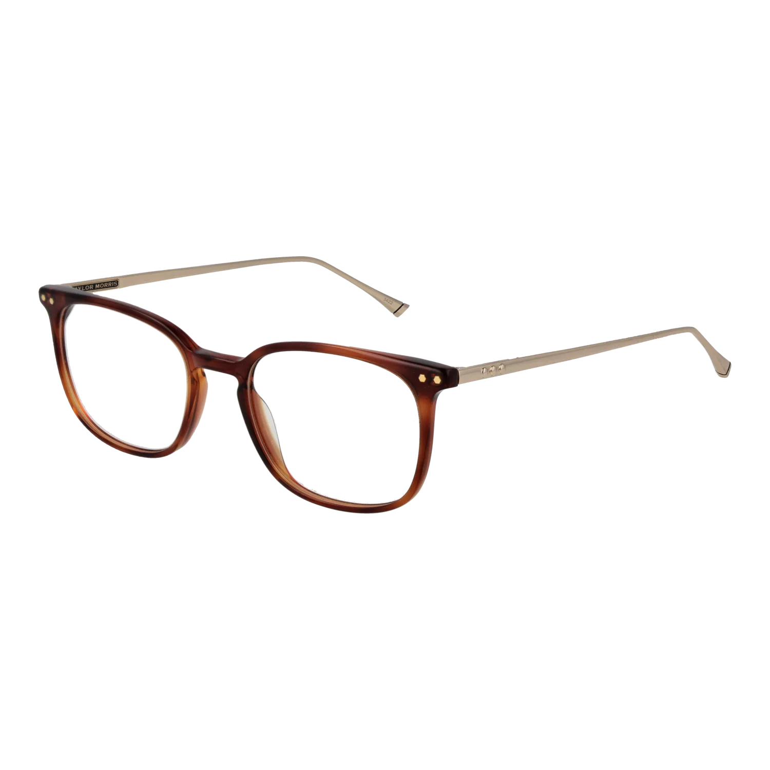 Taylor Morris TM06 49C2 optical frames side view