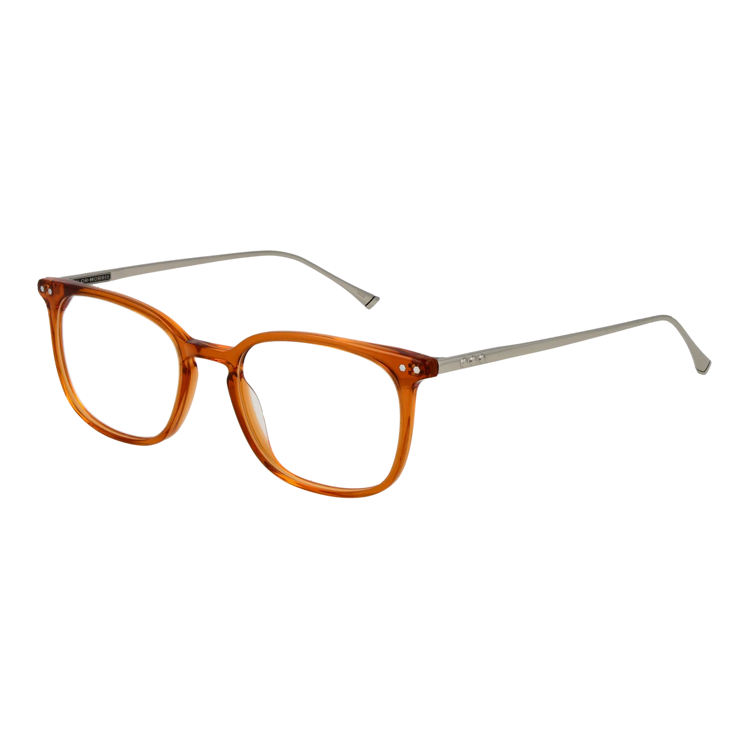 Taylor Morris TM06 49C3 optical frames side view