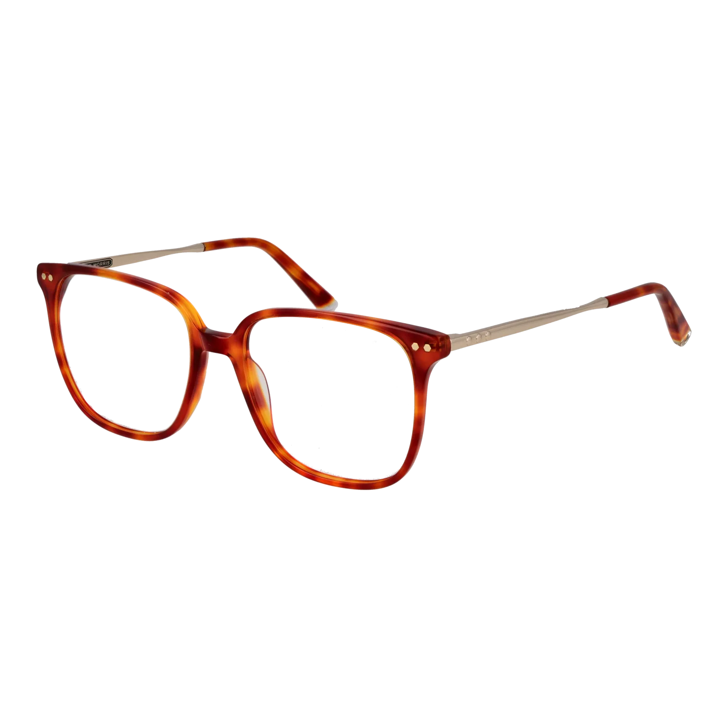 Taylor Morris TM08 53C2 optical frames side view