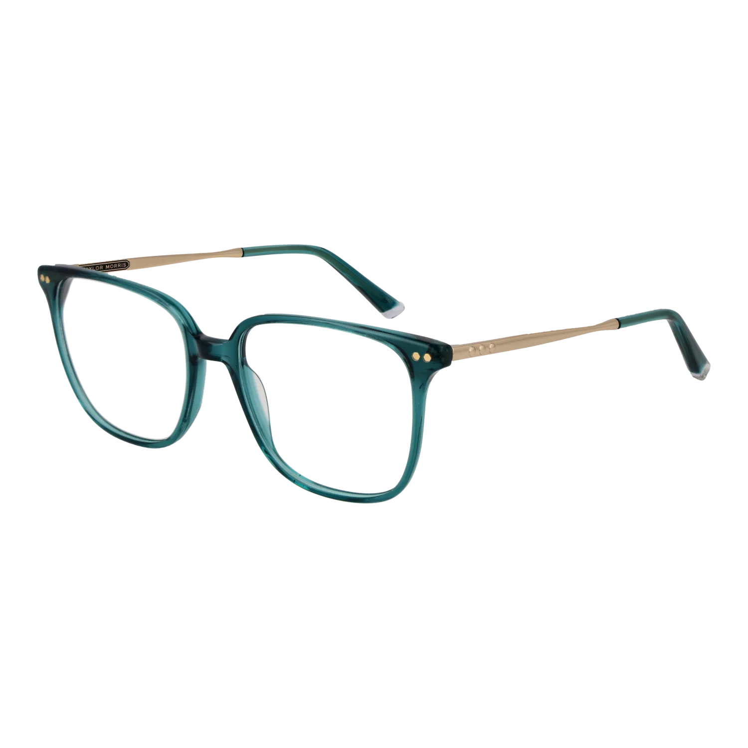 Taylor Morris TM08 53C4 optical frames side view