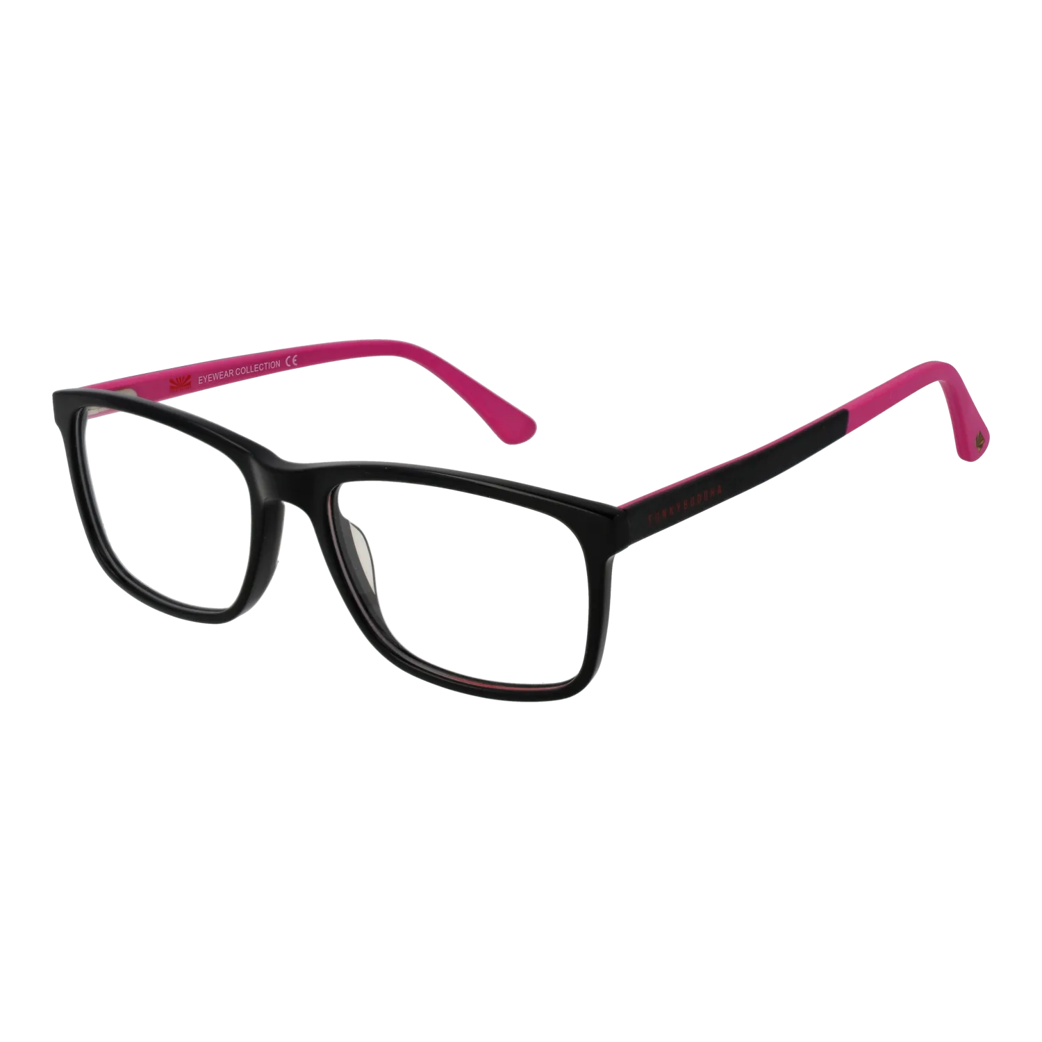 Funky Buddha FBD1026 55004 optical frames side view