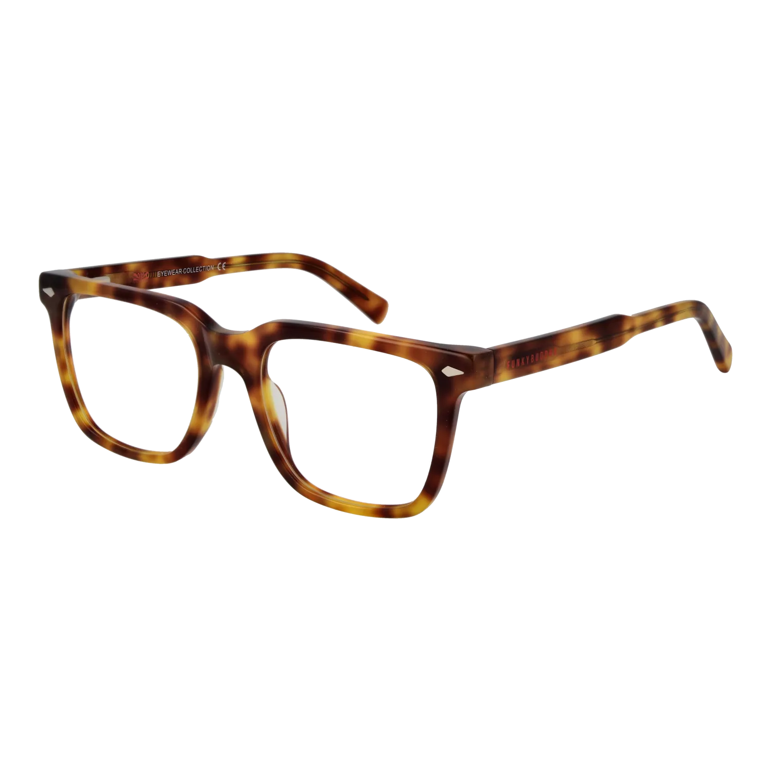 Funky Buddha FBD1028 52004 optical frames side view