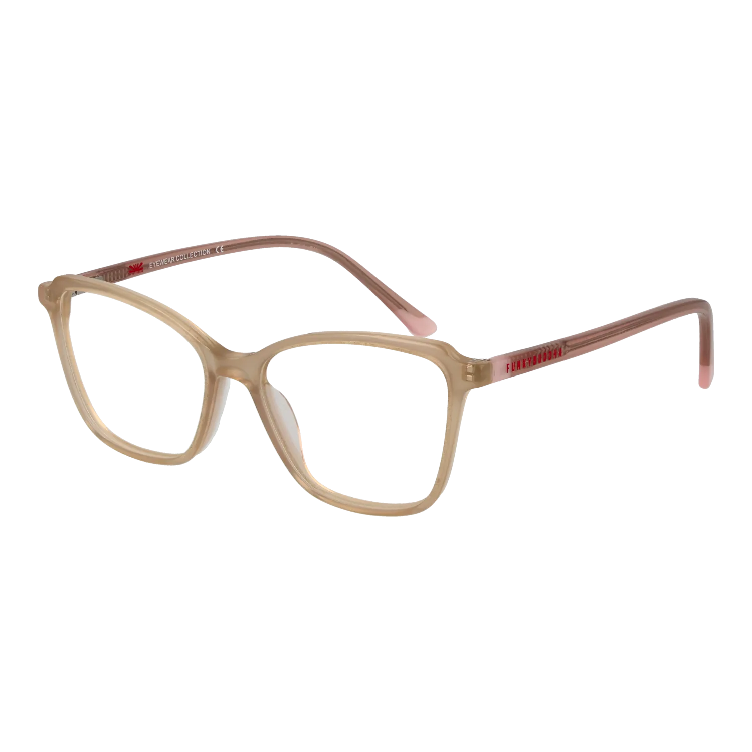 Funky Buddha FBD1066 48003 optical frames side view