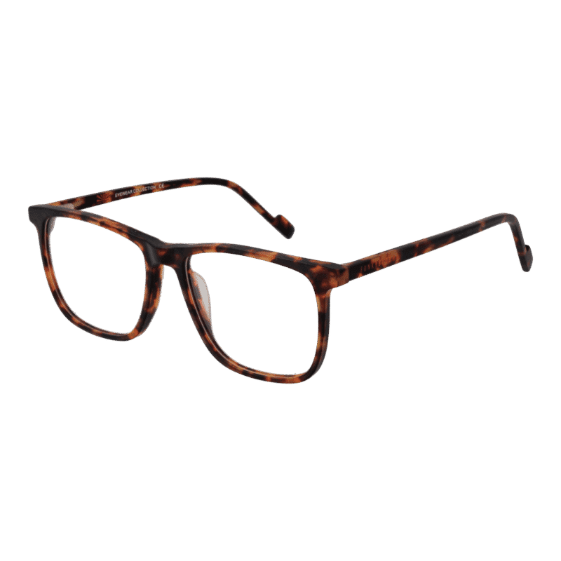 Funky Buddha FBD1073 56003 optical frames side view