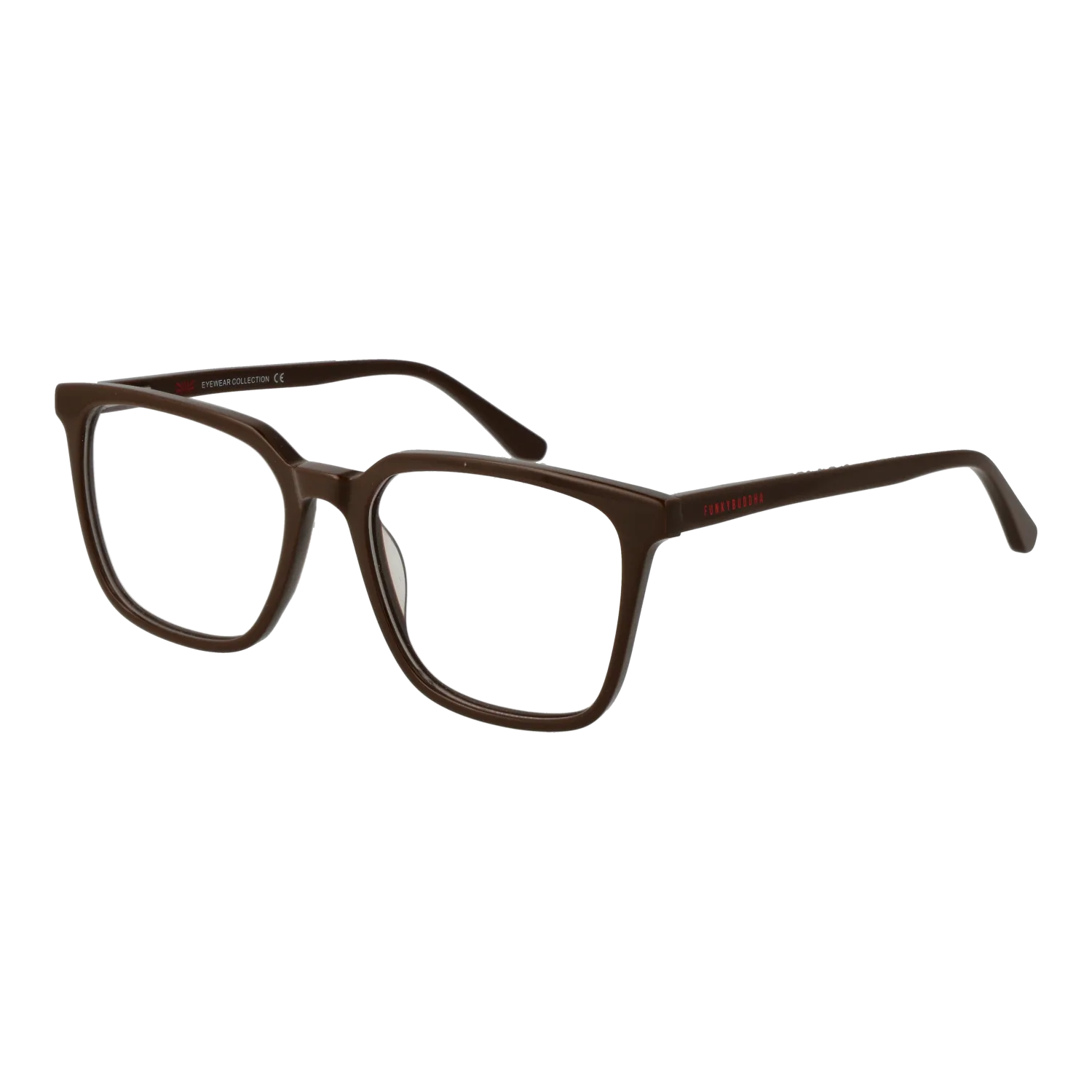 Funky Buddha FBD1053 54005 optical frames side view