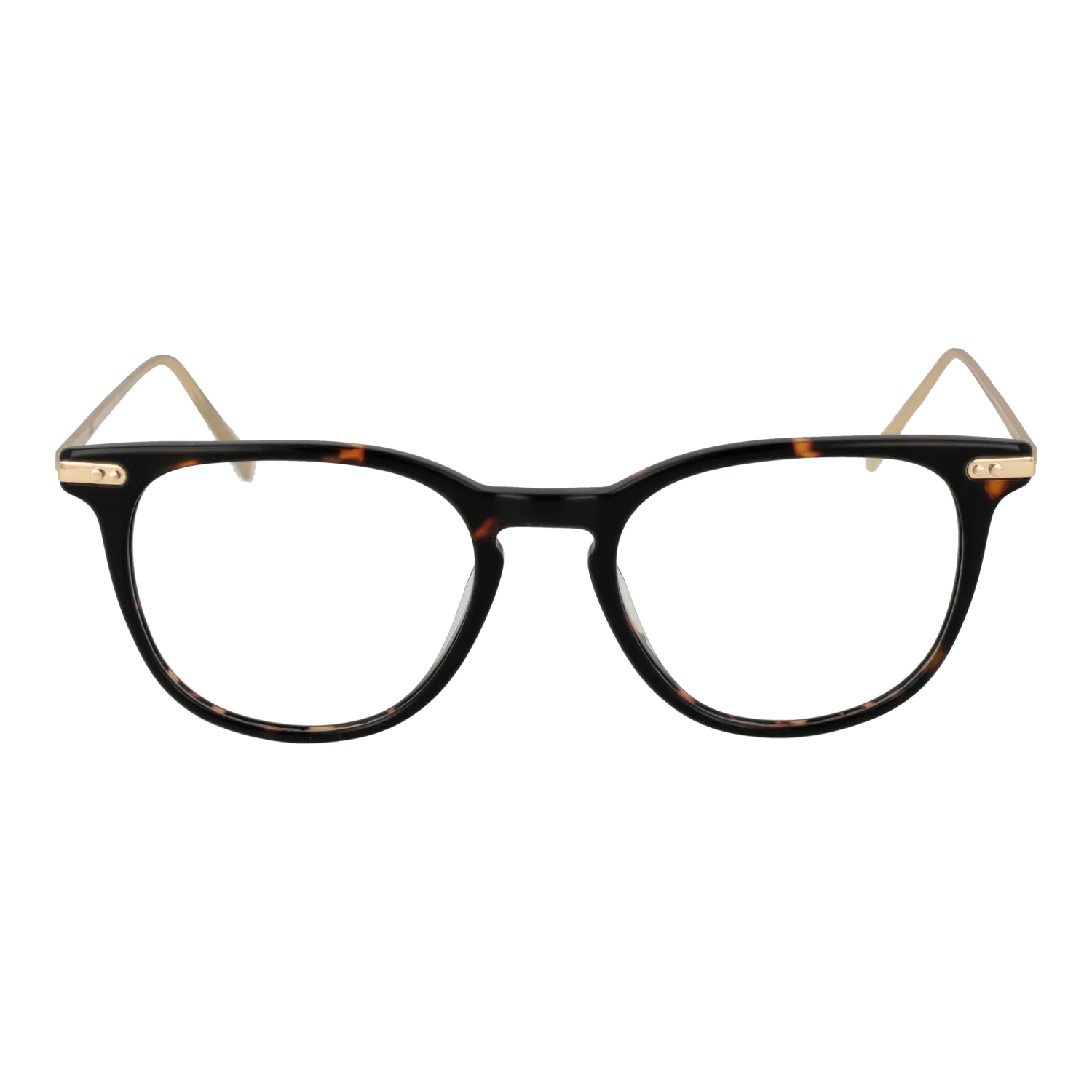 Funky Buddha FBD1065 49002 front view – Plastic frame