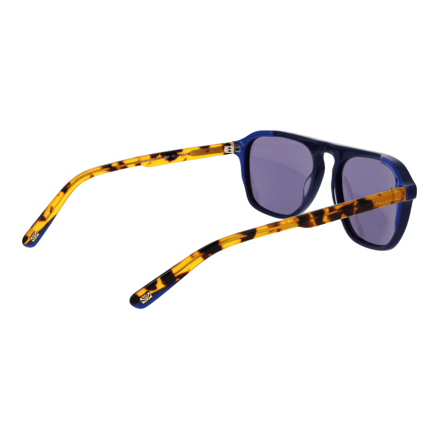 Funky Buddha FBS2035 55001 rear view – Plastic frame