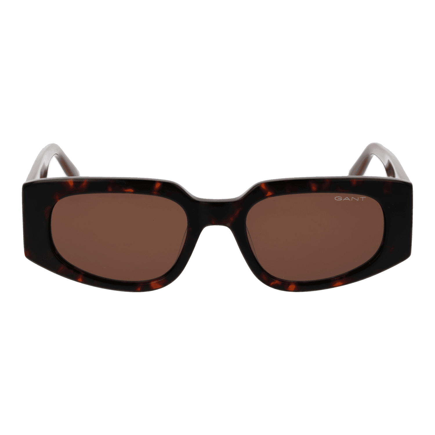 Gant GA00001 5352E front view with Brown lenses