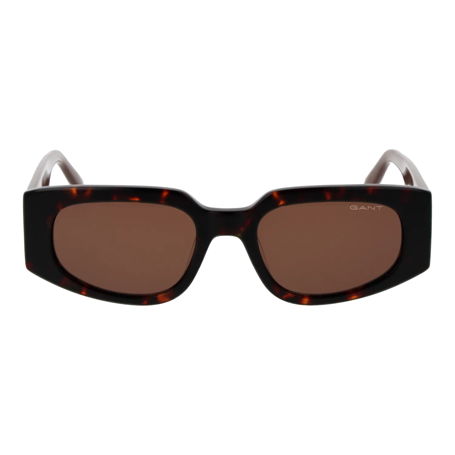 Gant GA00001 5352E front view with Brown lenses