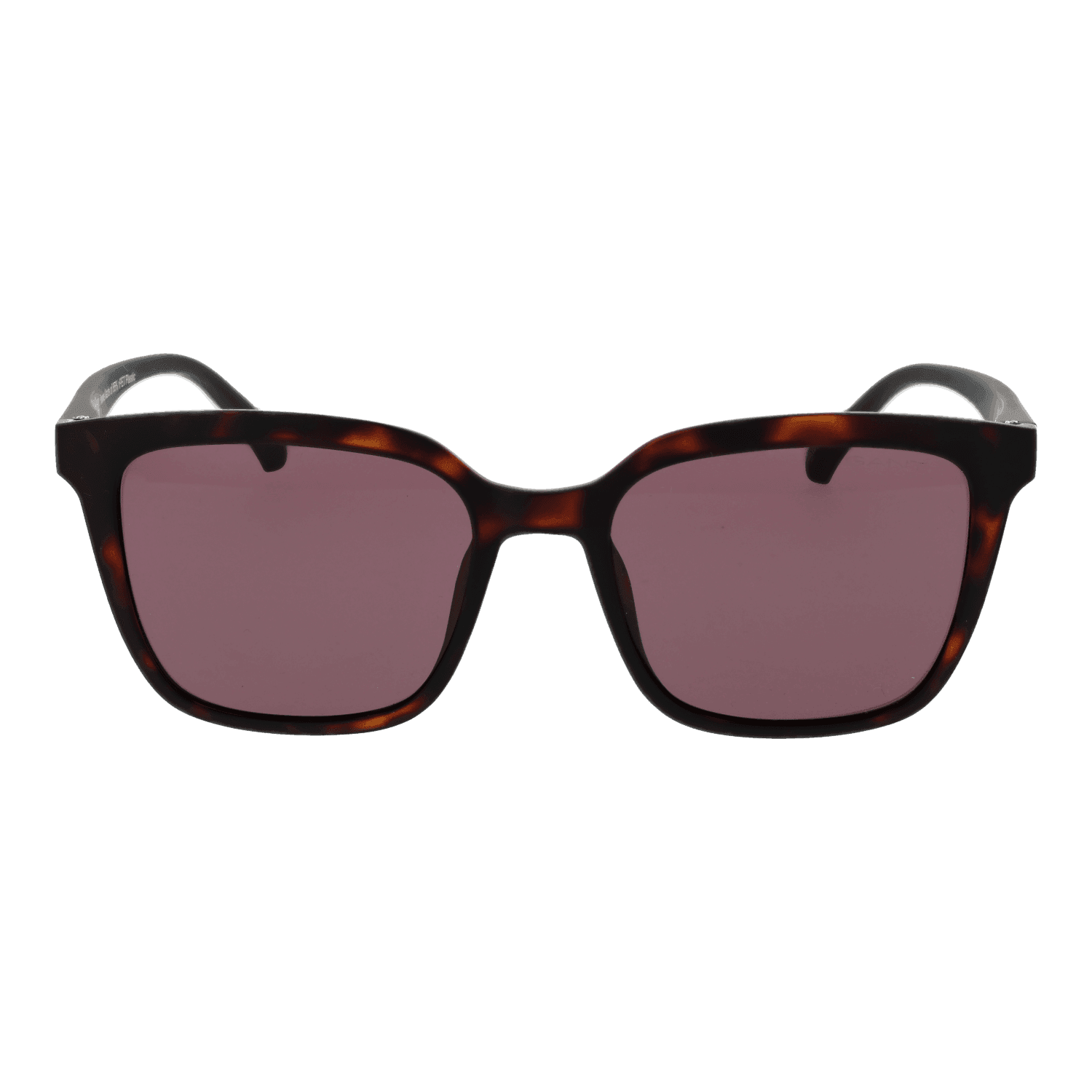 Gant GA00008 5352E front view with Brown lenses
