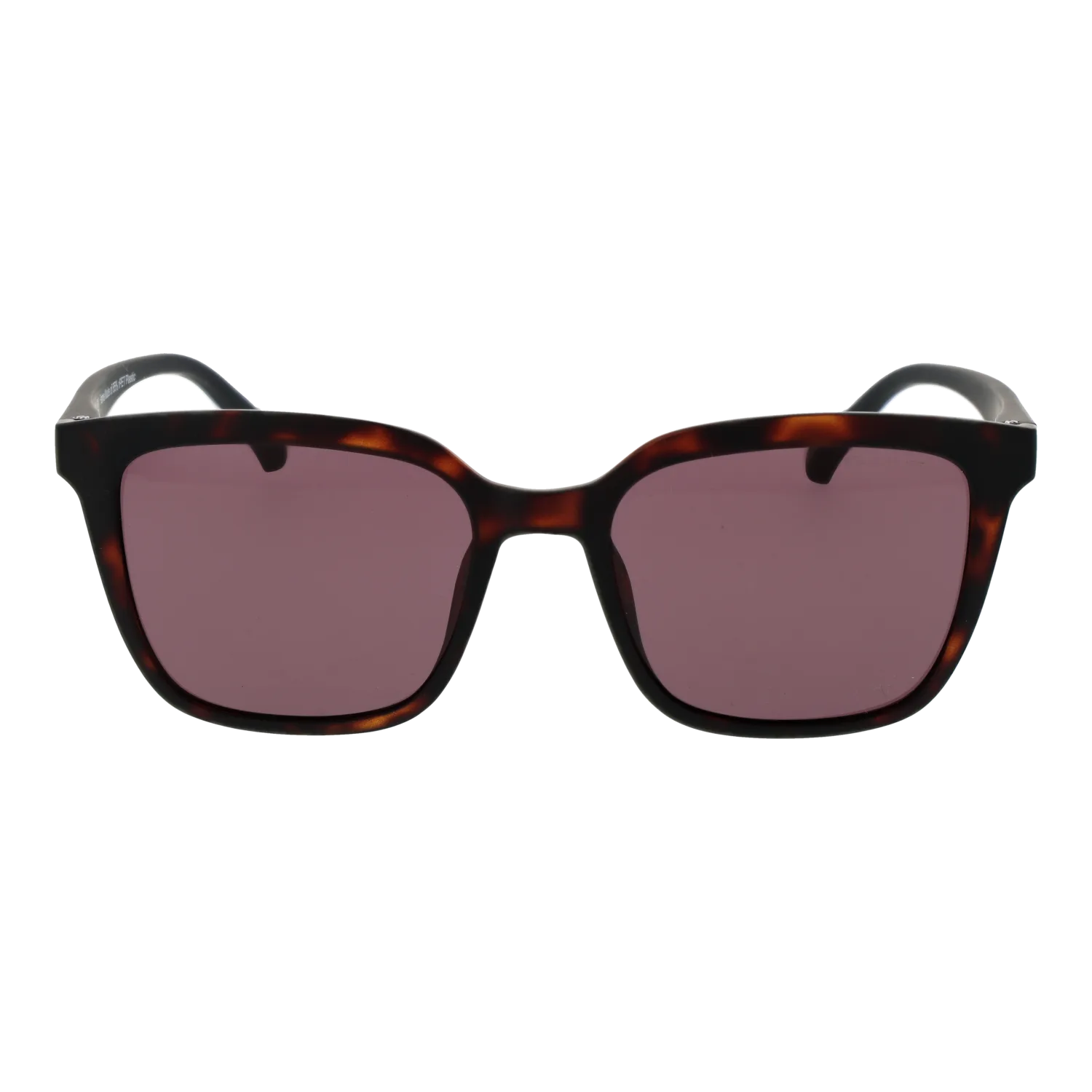 Gant GA00008 5352E front view with Brown lenses