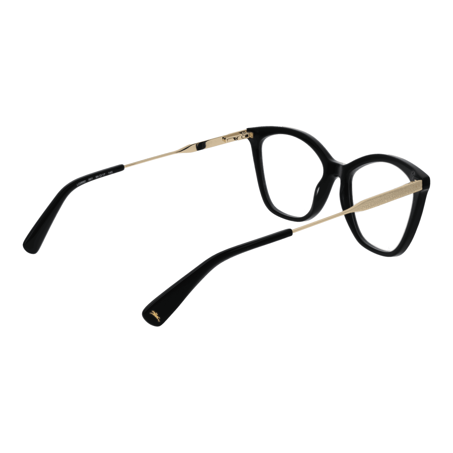 Longchamp LO2692 54001 rear view showing hinges