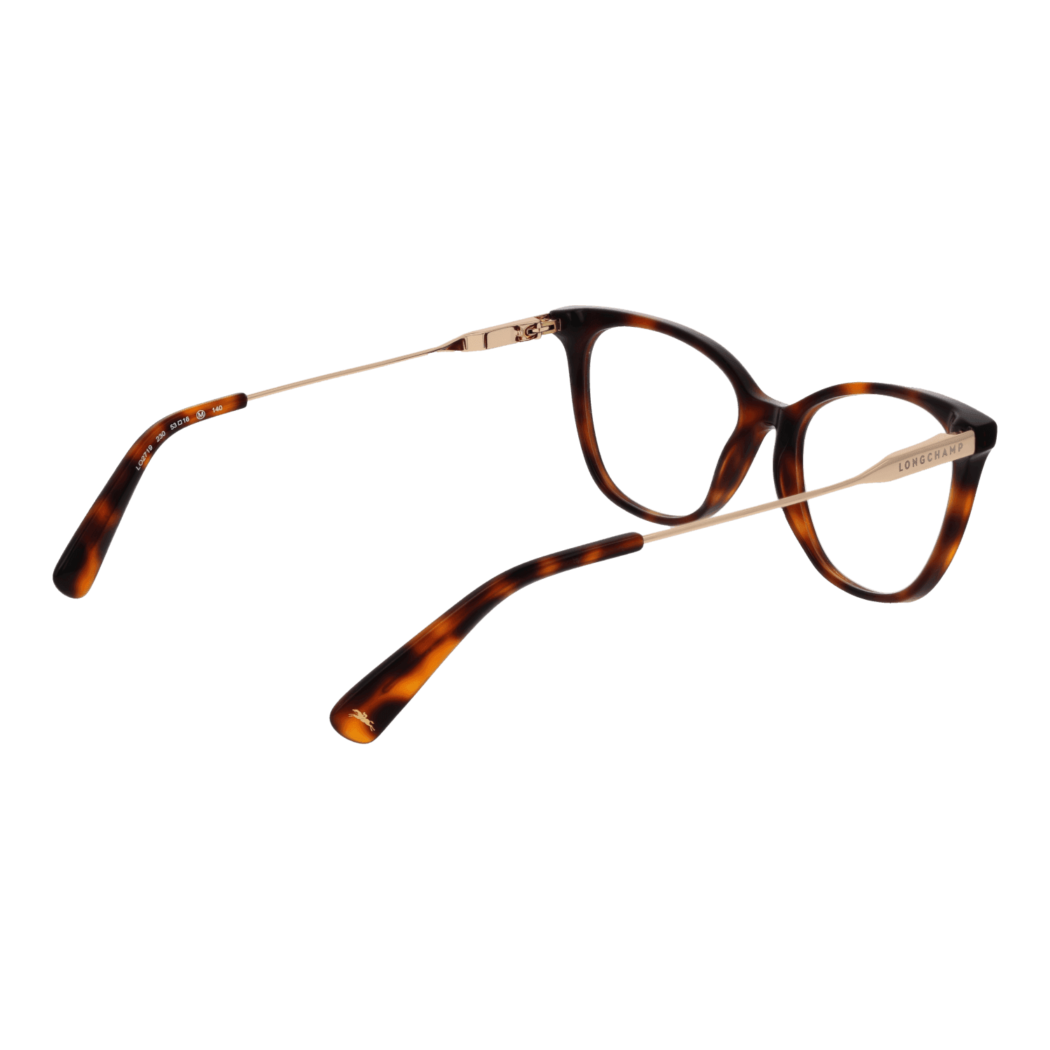 Longchamp LO2719 53230 rear view showing hinges