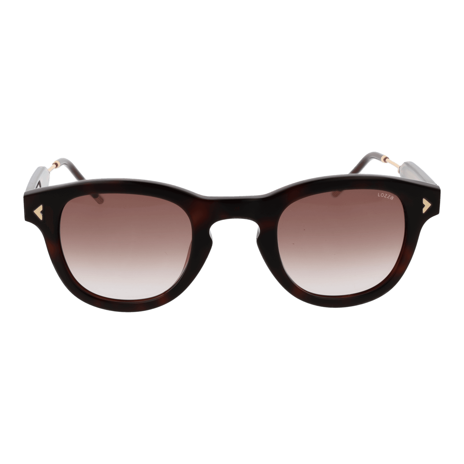 Lozza SL4315 470752 front view with Brown lenses