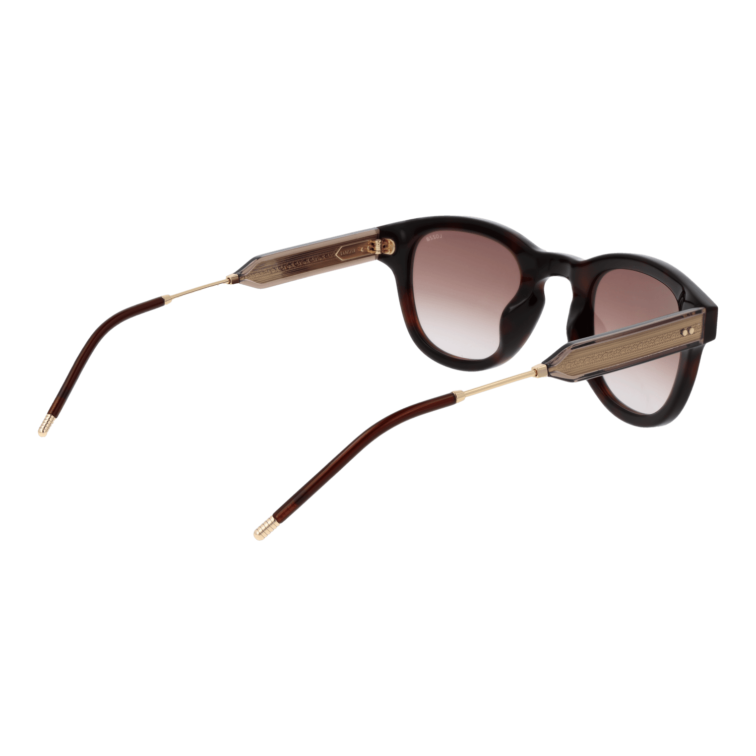 Lozza SL4315 470752 rear view – Cellulose Acetate frame