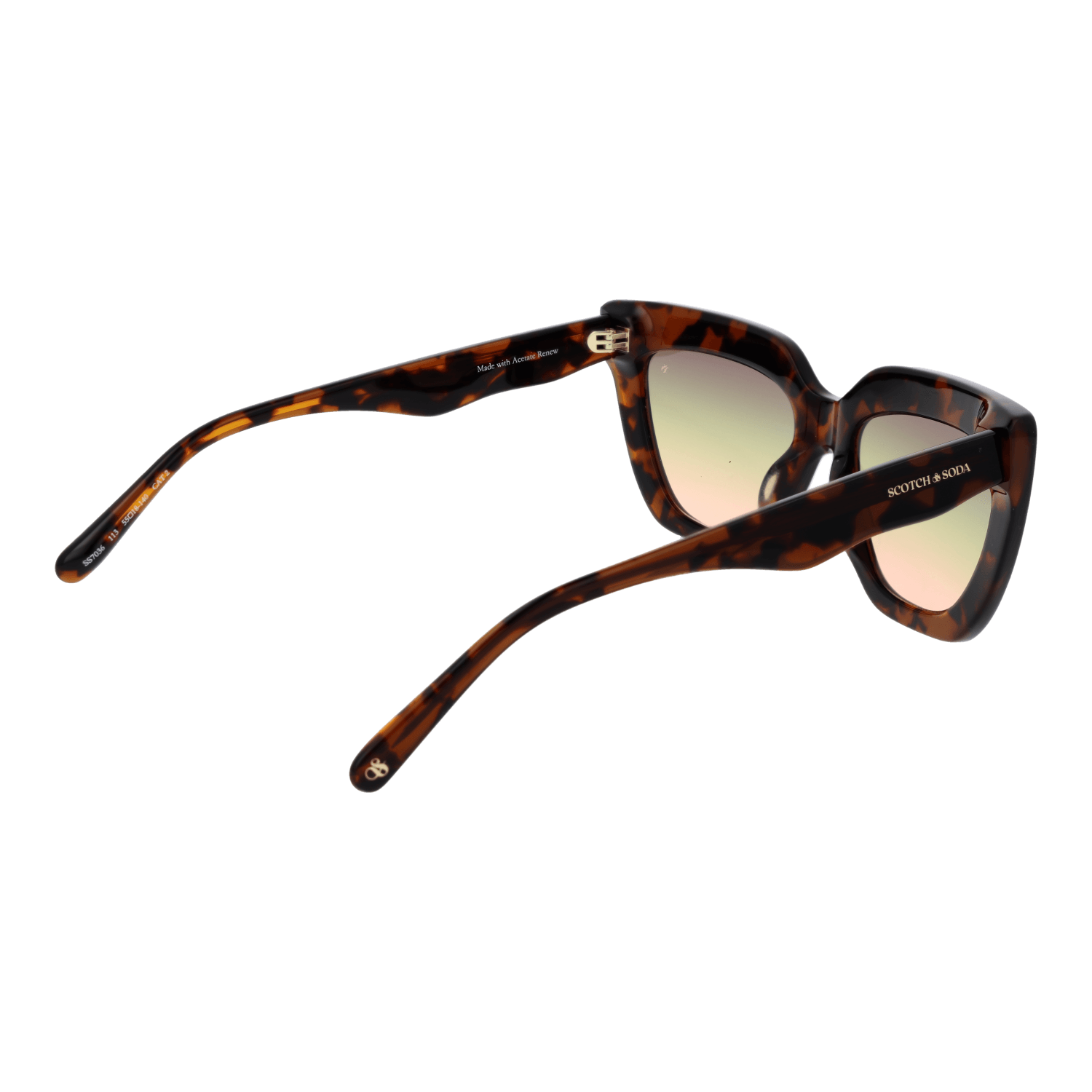 Scotch & Soda SS7036 55113 rear view – Acetate frame