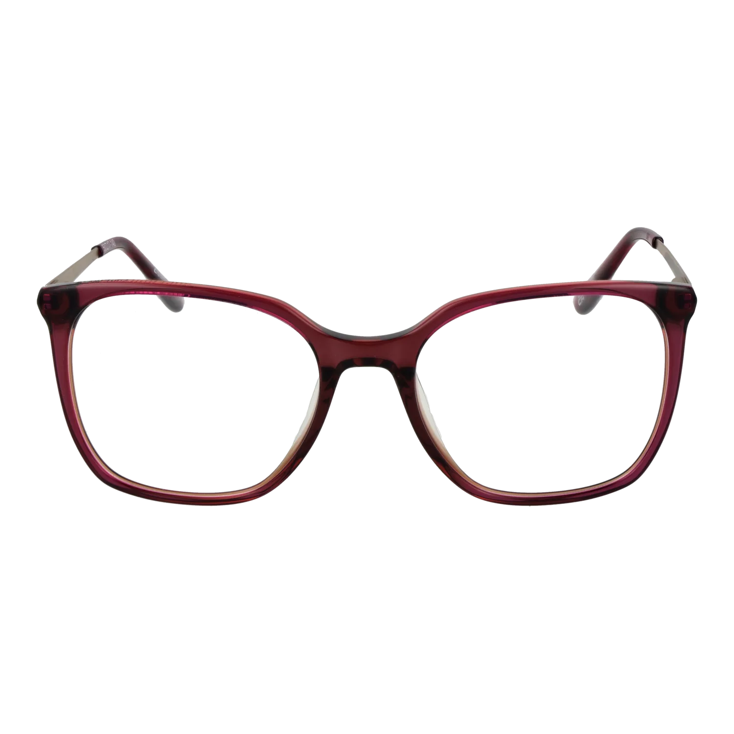 Superdry SDO-2020 50162 front view – Acetate frame