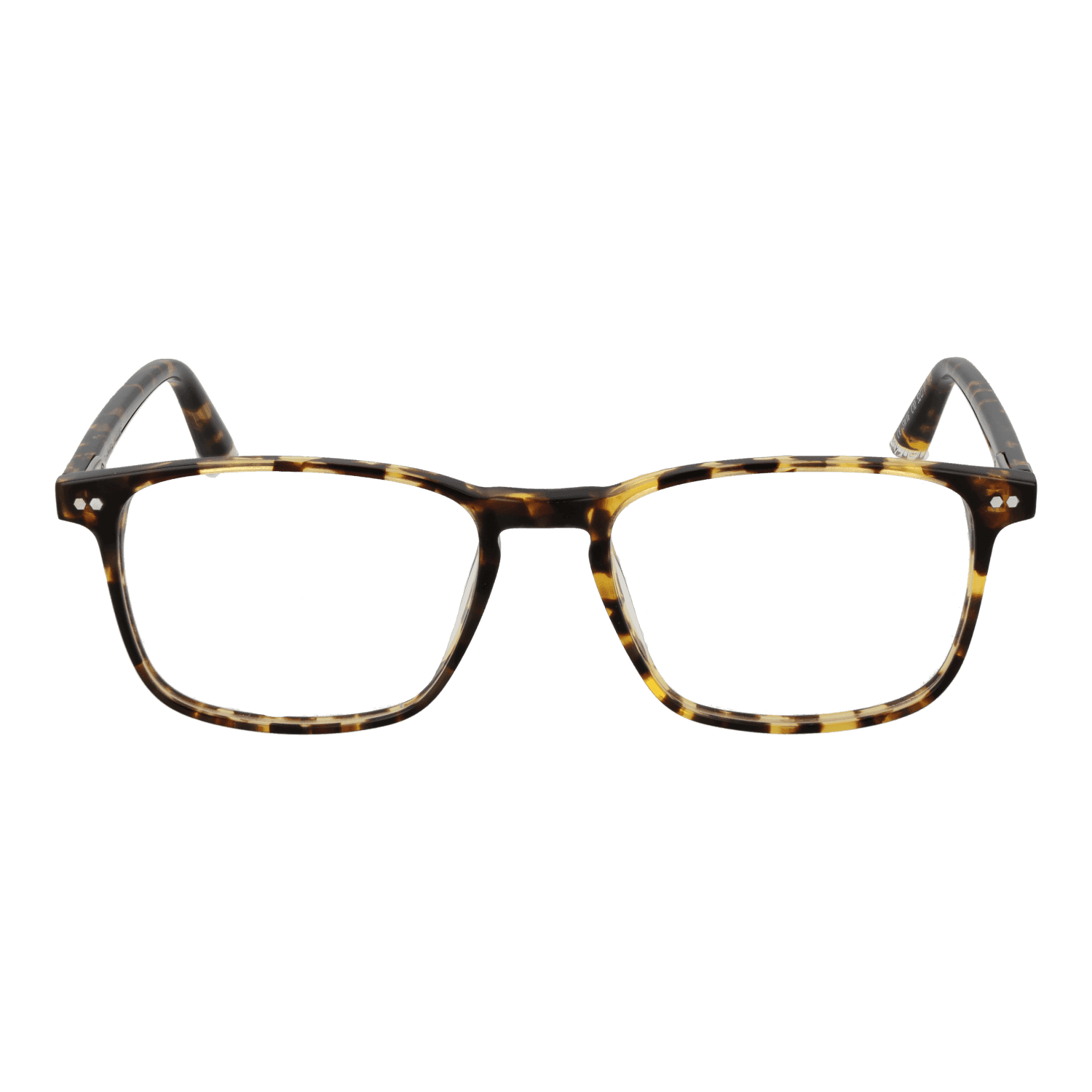 Taylor Morris SW16 52C10 front view – Acetate frame