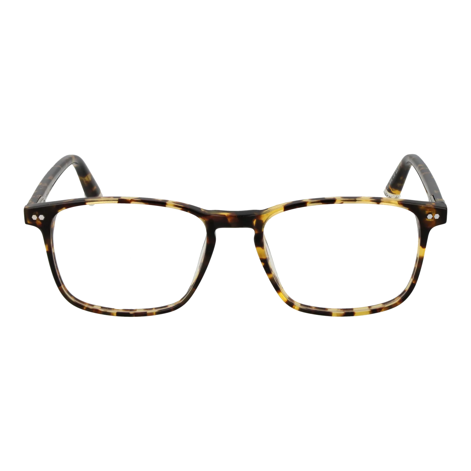 Taylor Morris SW16 52C10 front view – Acetate frame