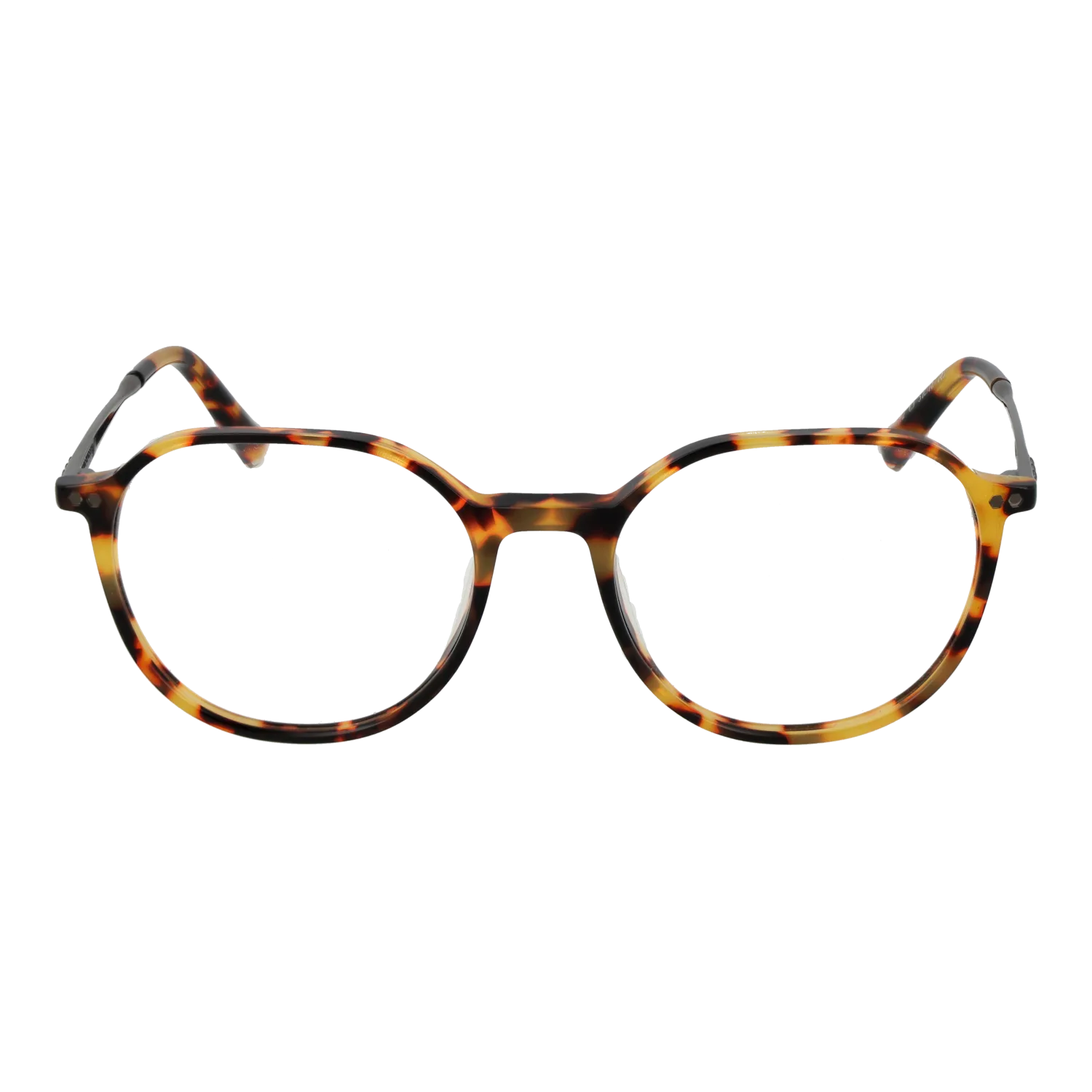 Taylor Morris SW2 51C3 front view – Acetate frame