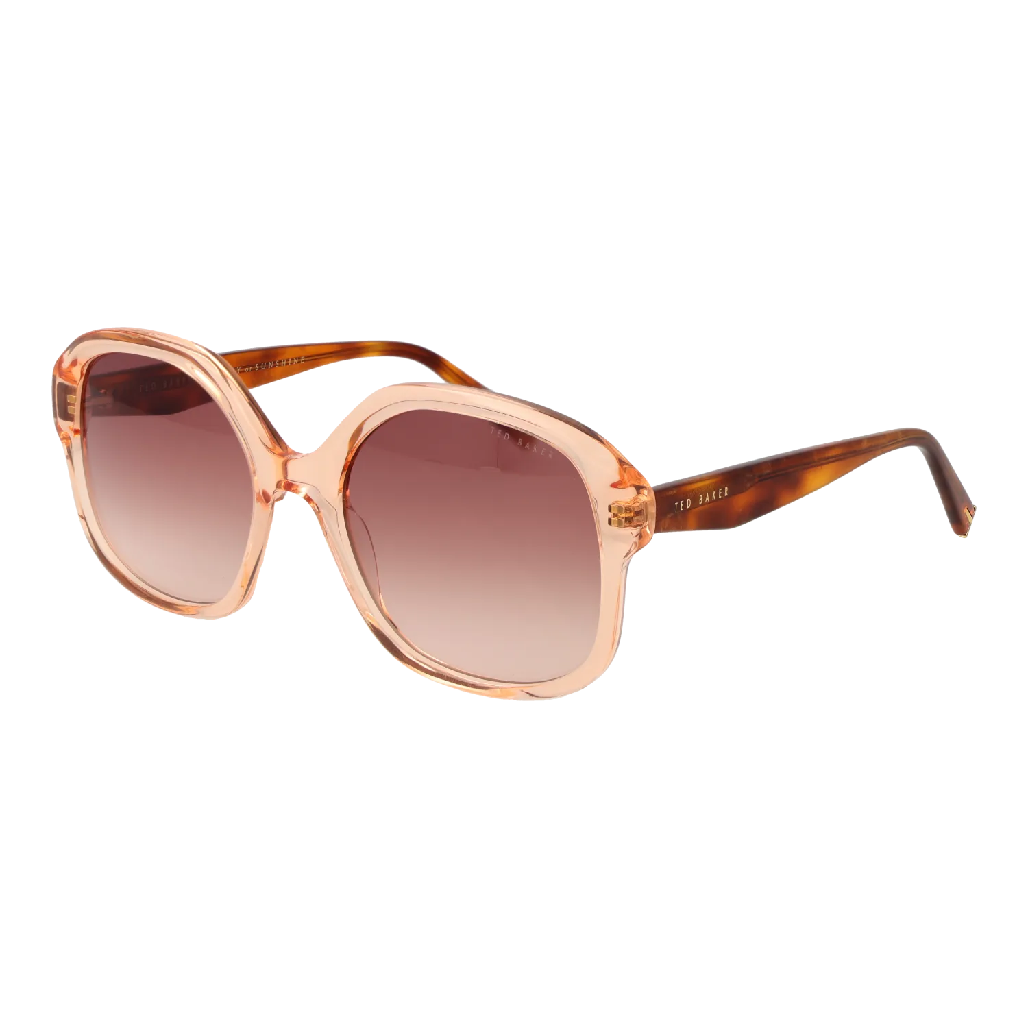 Ted Baker TB1685 55271 sunglasses side view