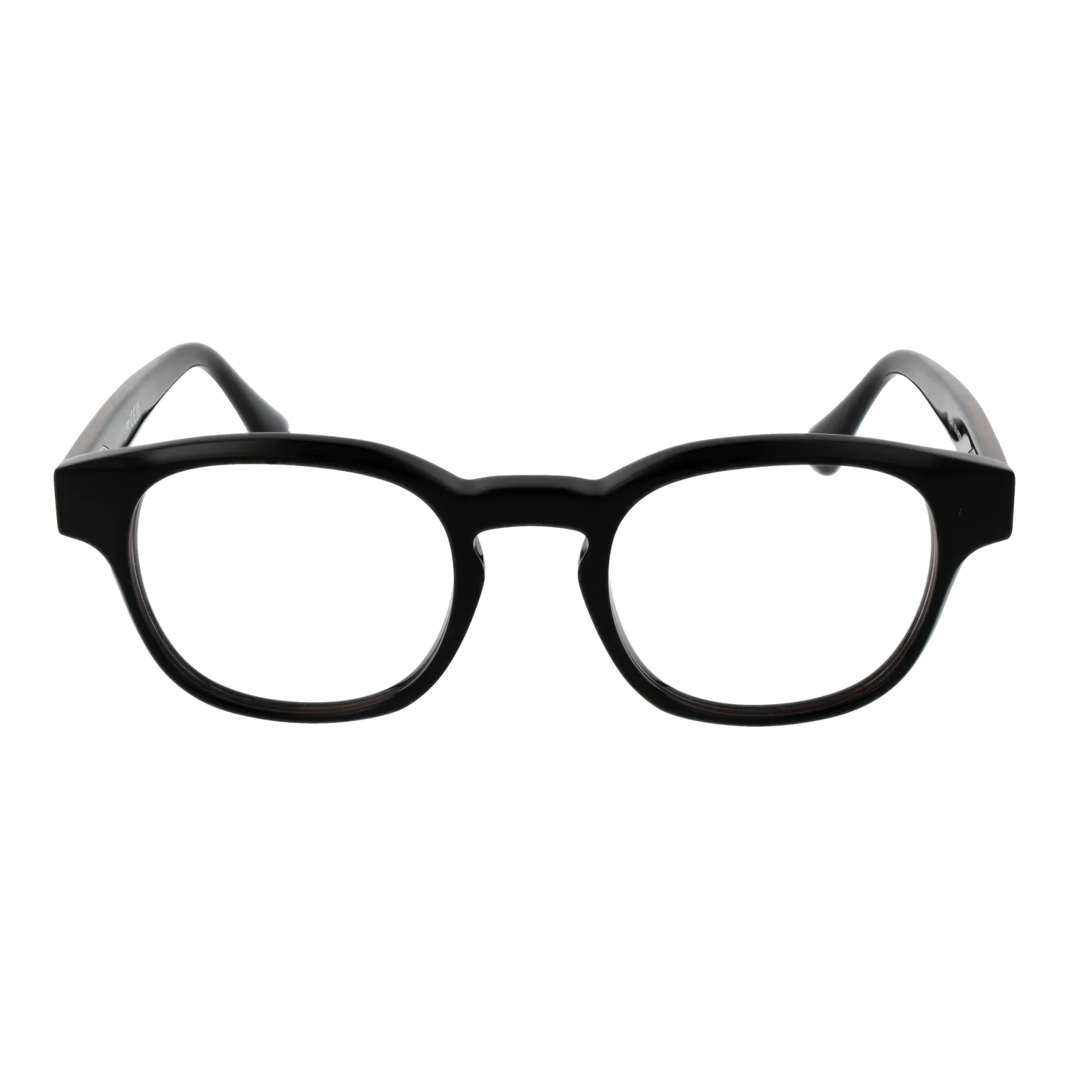 Web WE5411 4901A front view – Acetate frame