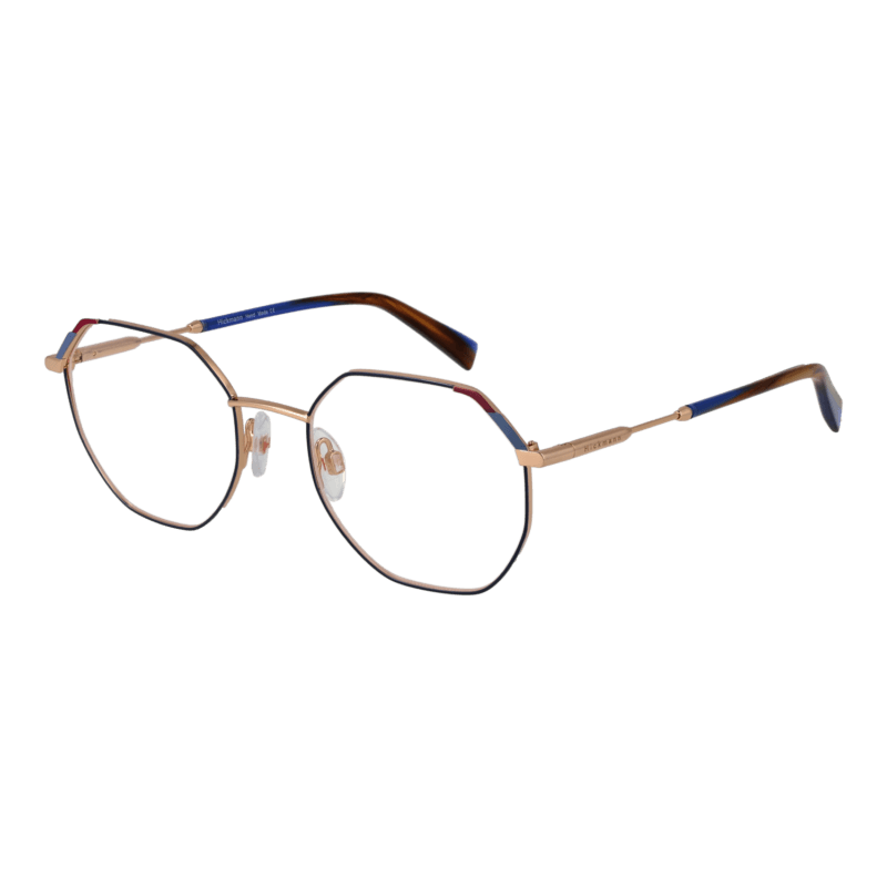 Ana Hickmann HI1191 5006A optical frames side view