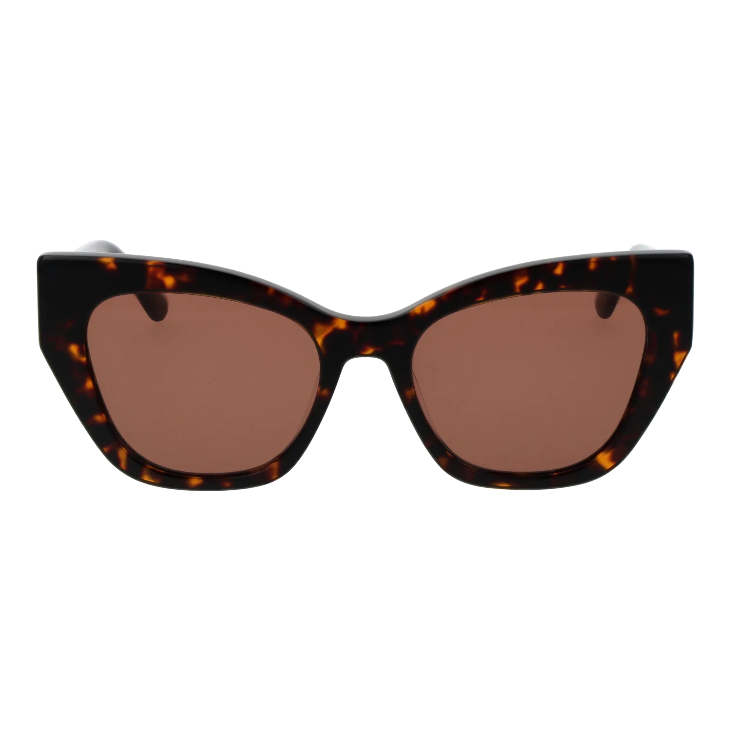 Replay RY663S 53R02 front view with Brown lenses