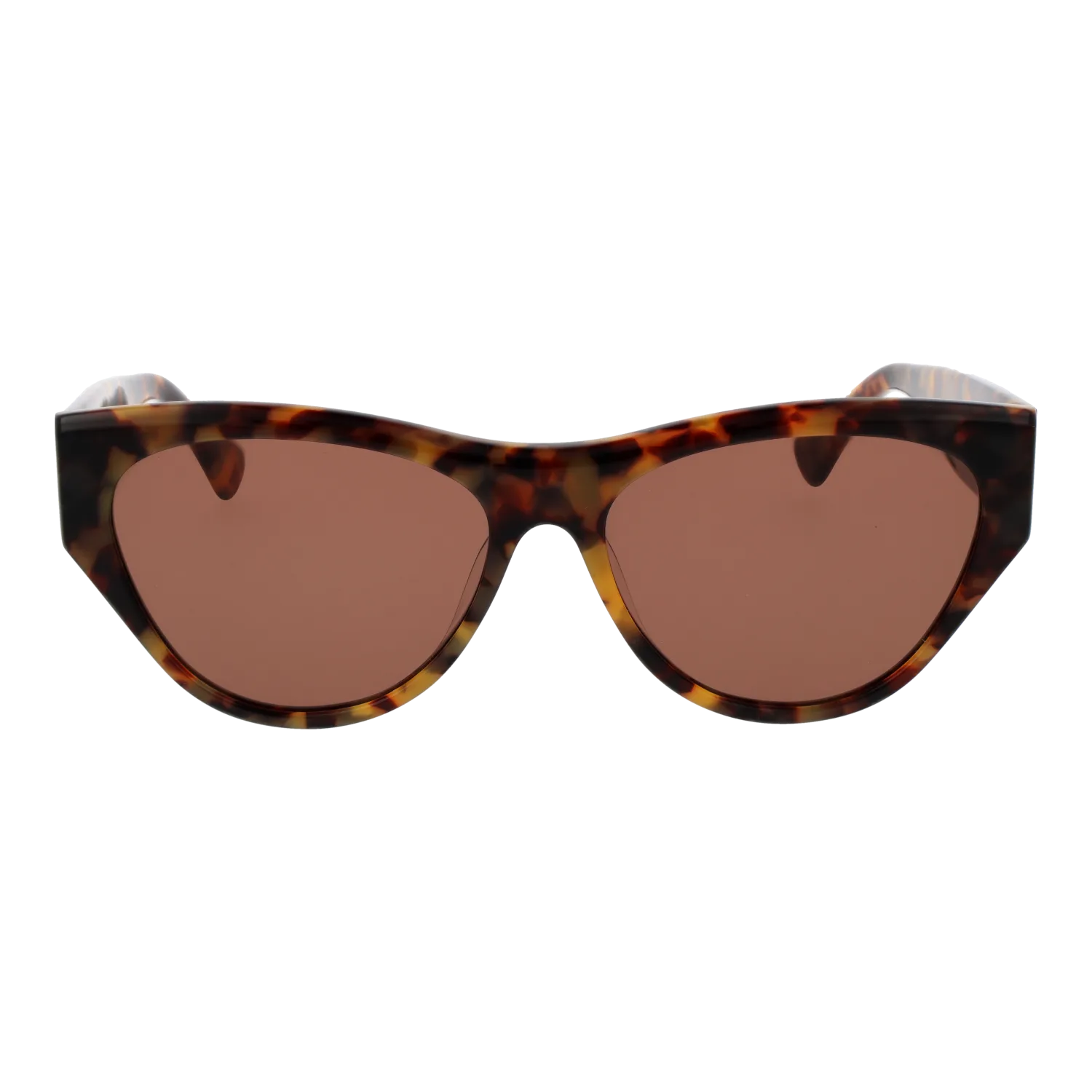 Replay RY665S 58R02 front view with Brown lenses