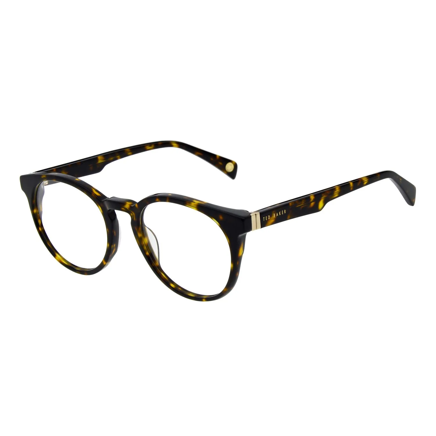 Ted Baker TB2324 52103 optical frames side view