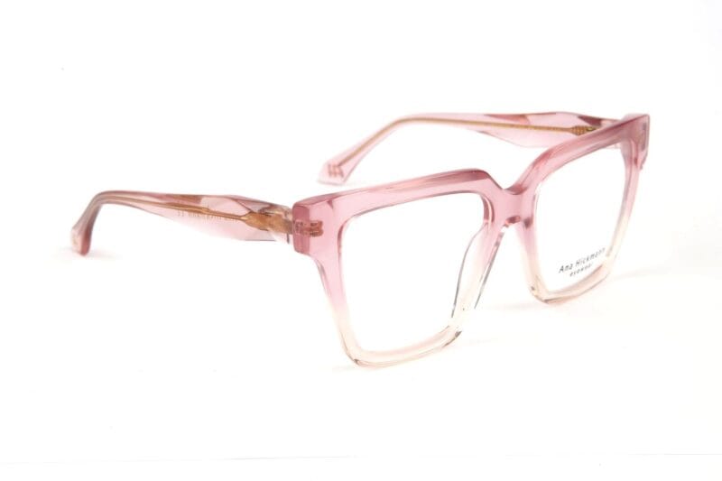 Ana Hickmann AH6522 55C02 optical frames side view