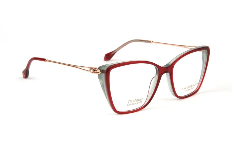 Ana Hickmann AH6501T 53H04 optical frames side view