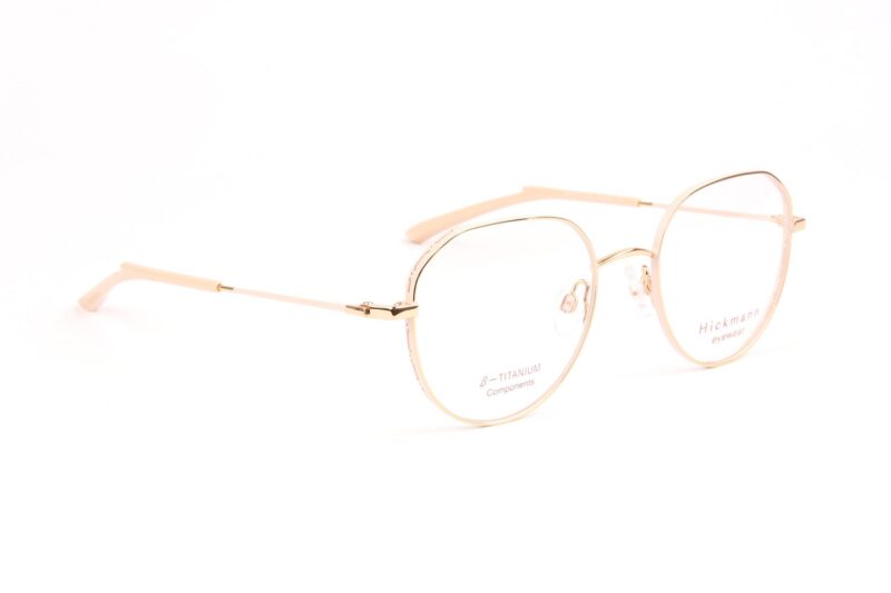 Ana Hickmann HI1247T 5005A optical frames side view