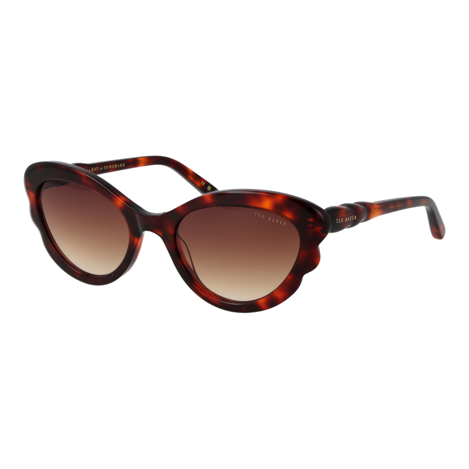 Ted Baker TB1755 53100 sunglasses side view