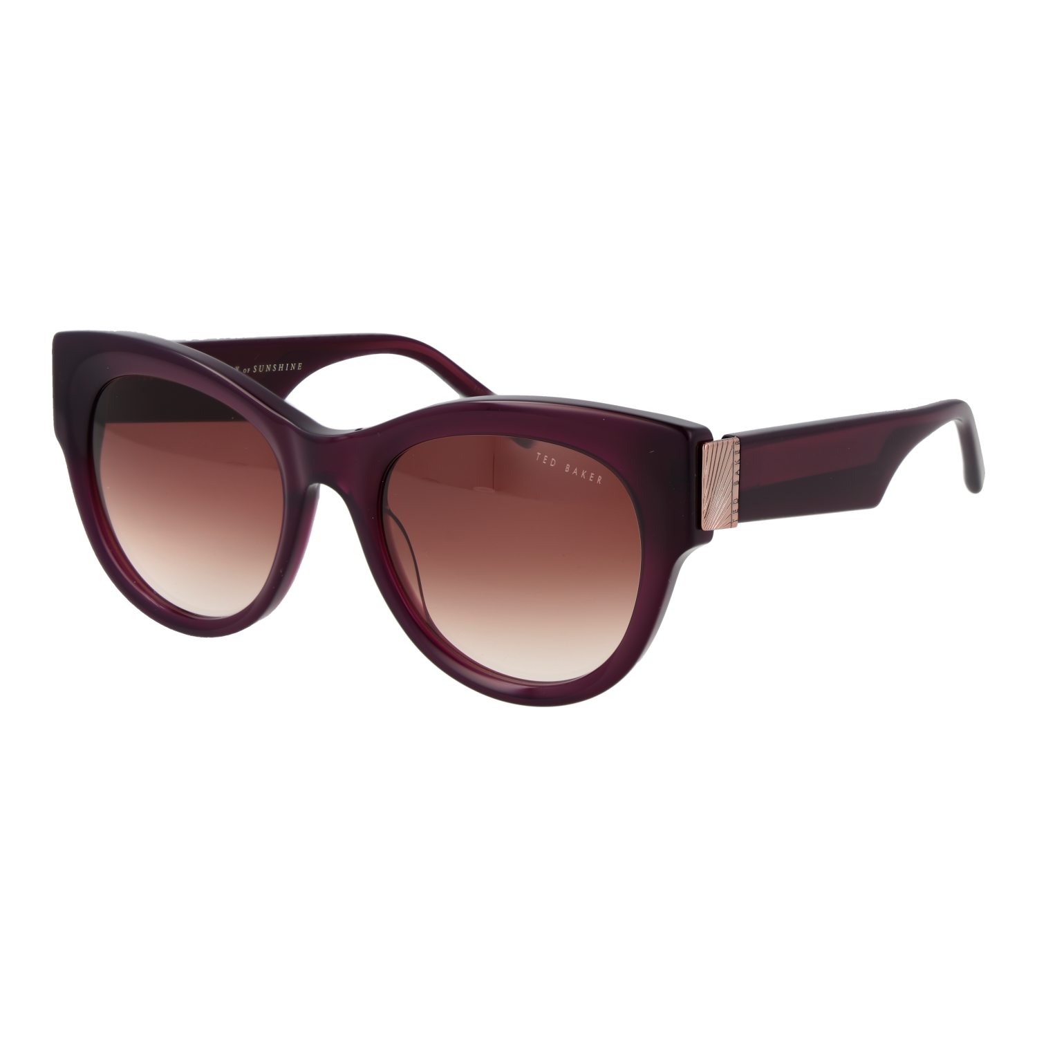 Ted Baker TB1766 52739 sunglasses side view