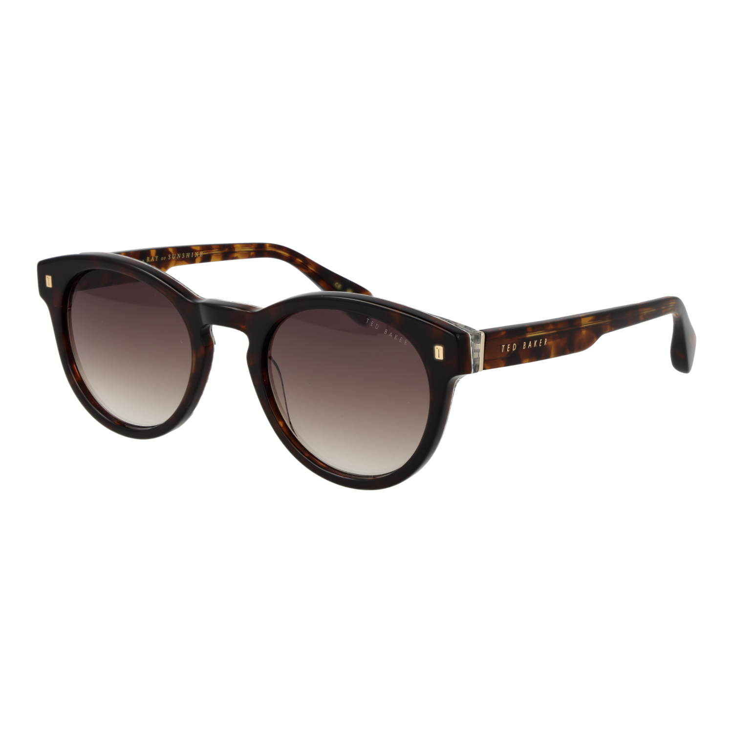 Ted Baker TB1752 51119 sunglasses side view
