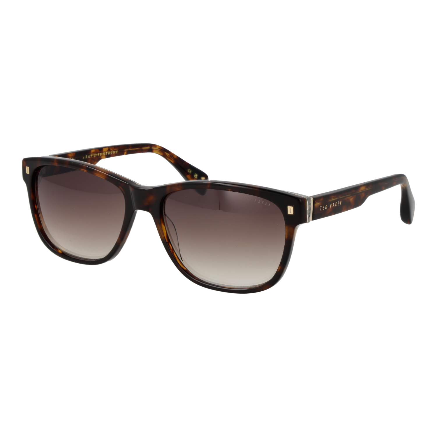 Ted Baker TB1753 58119 sunglasses side view